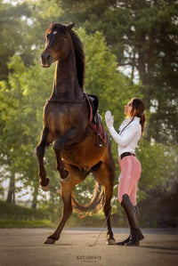 Dragon Rhinestone breeches full seat (Pink)