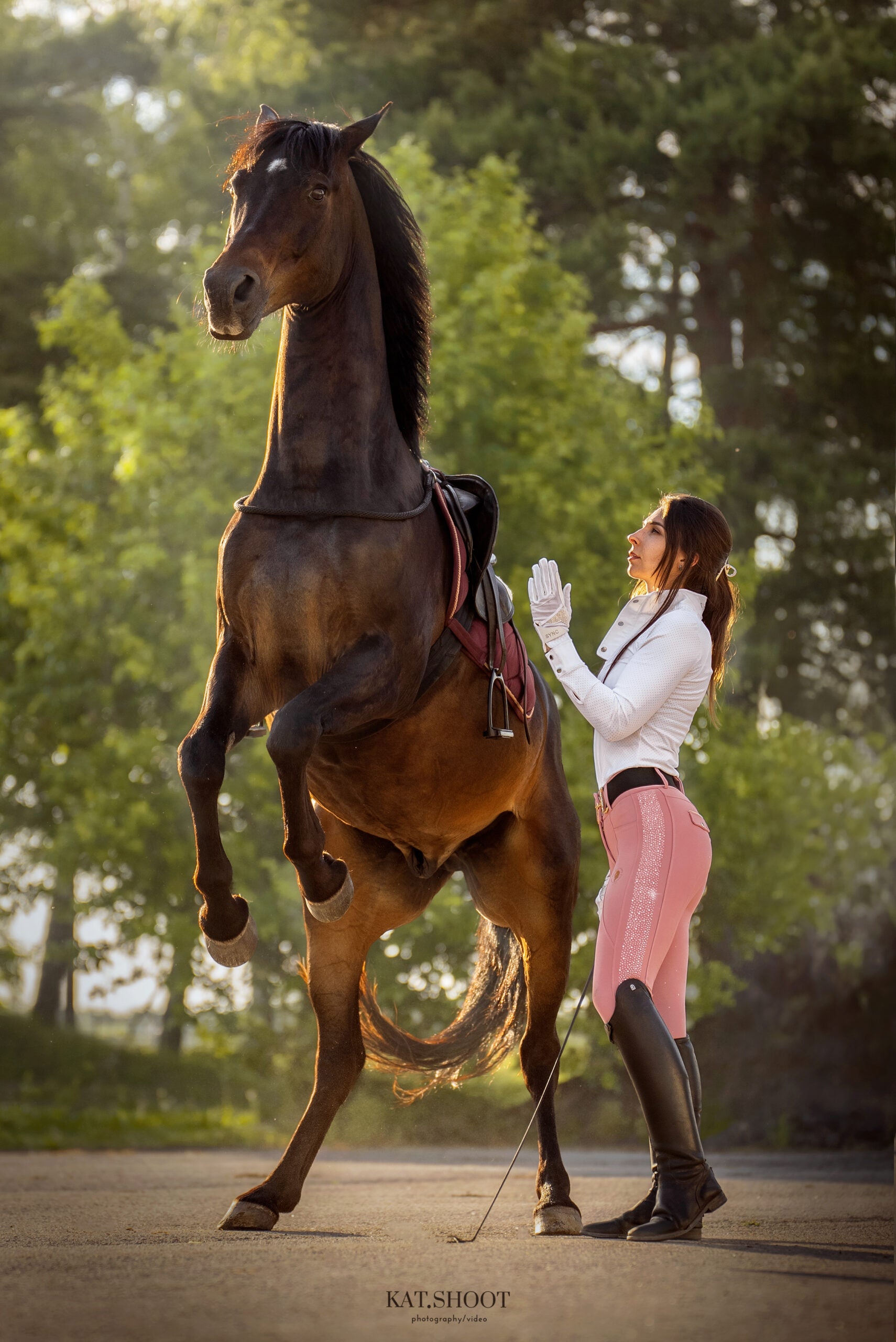 Dragon Rhinestone breeches full seat (Pink)