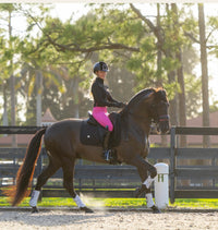 Venom Pro Full Seat in Power Pink