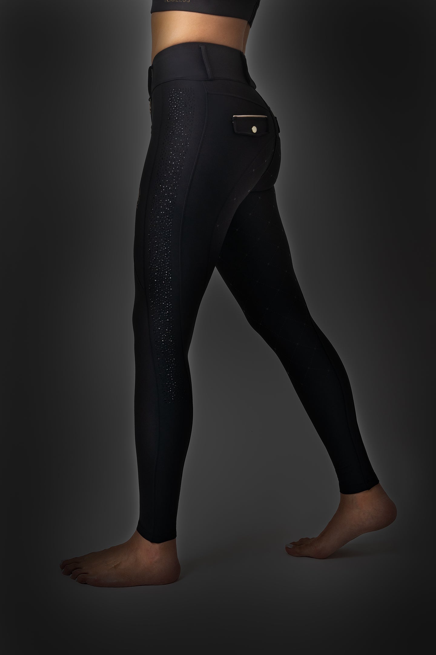 Dragon Rhinestone full seat  breeches (Black)