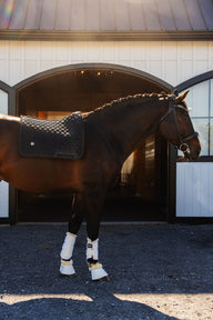 Dragon Luxe Saddle Pad (Dressage/Black)