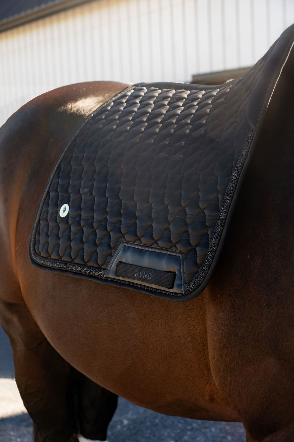 Dragon Luxe Saddle Pad (Dressage/Black)