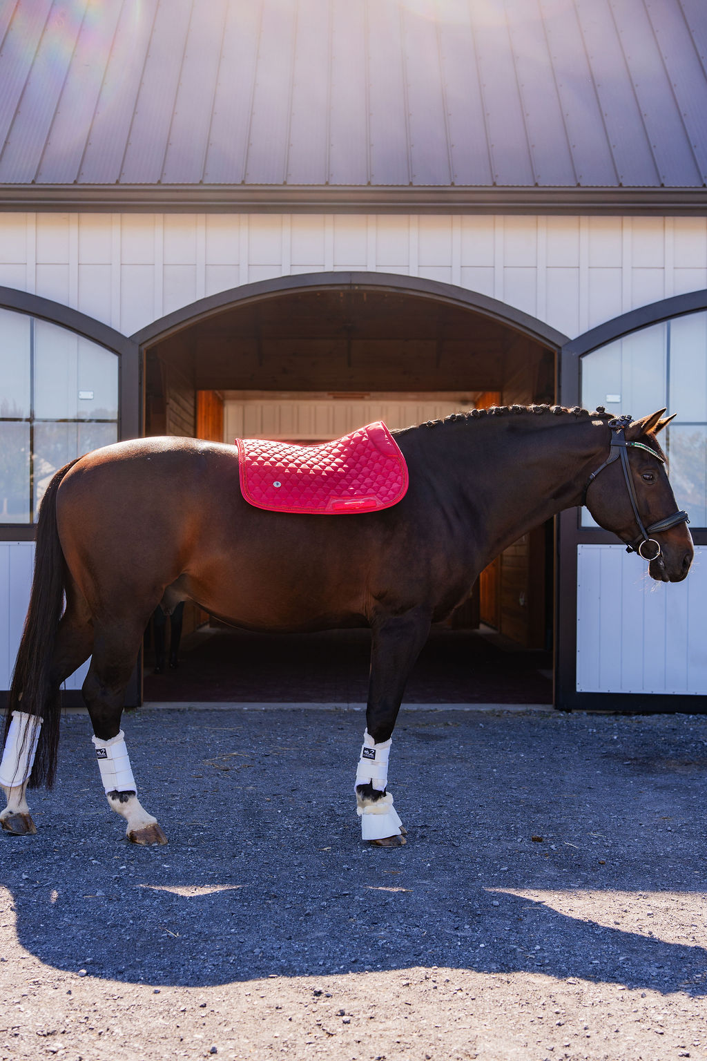 Dragon Luxe Saddle Pad (Jumping/Red)