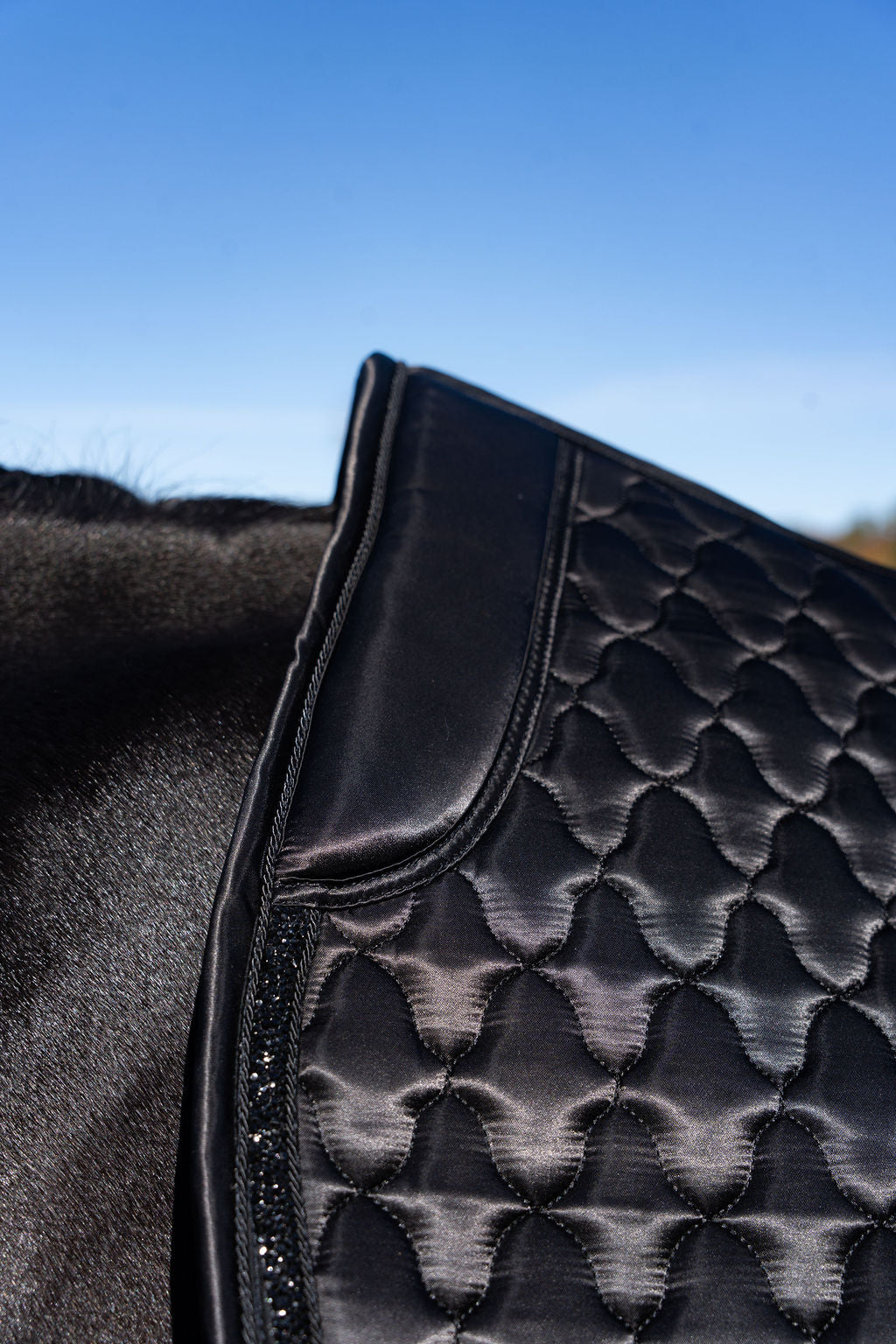 Dragon Luxe Saddle Pad (Jumping/Black)