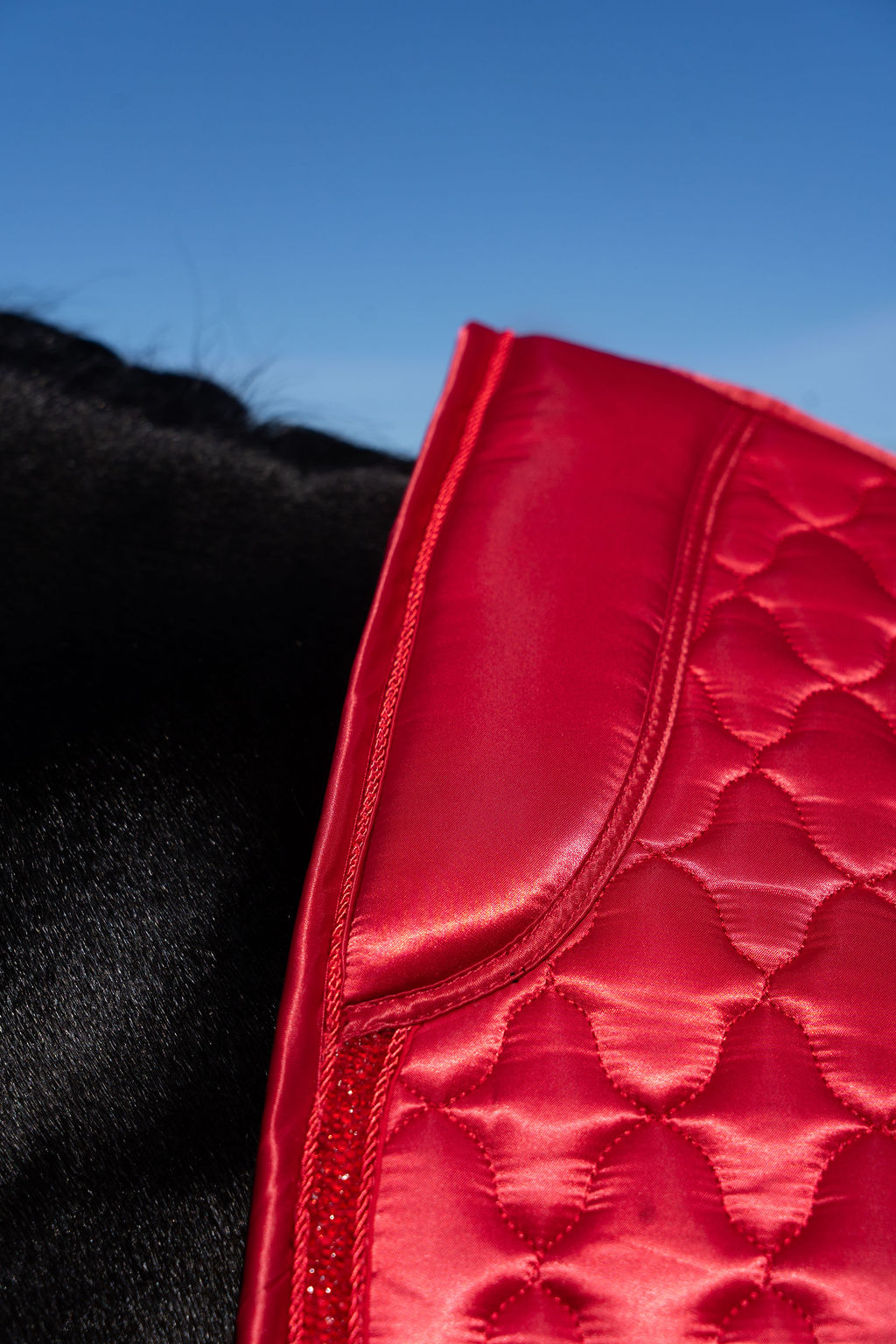 Dragon Luxe Saddle Pad (Dressage/red)