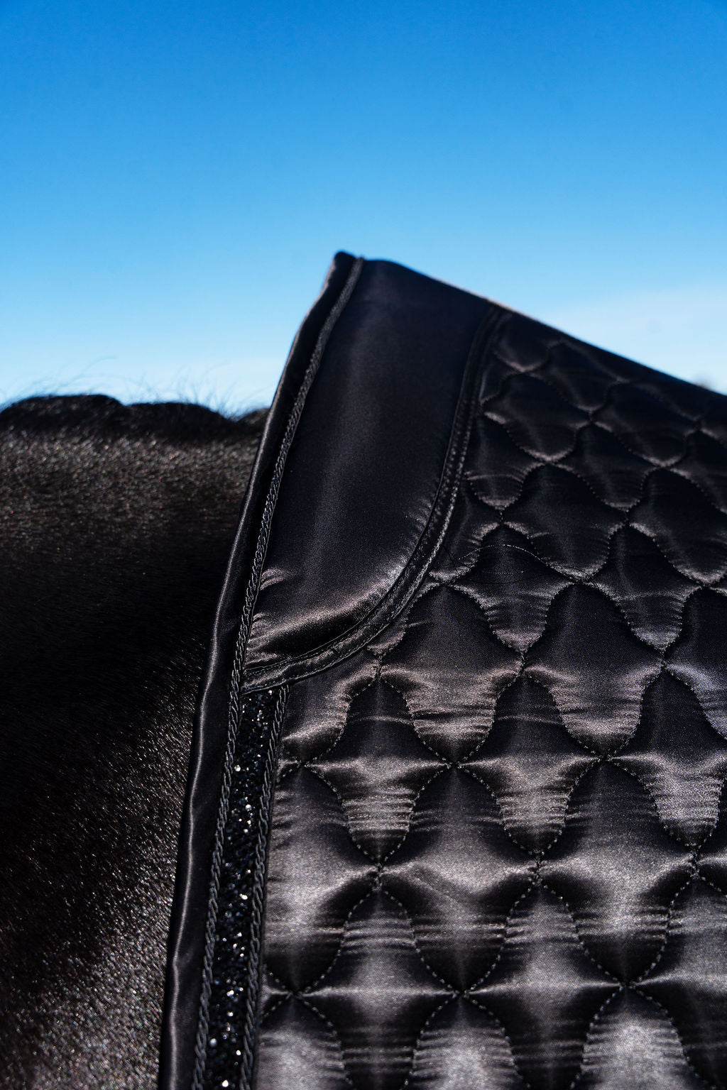 Dragon Luxe Saddle Pad (Dressage/Black)