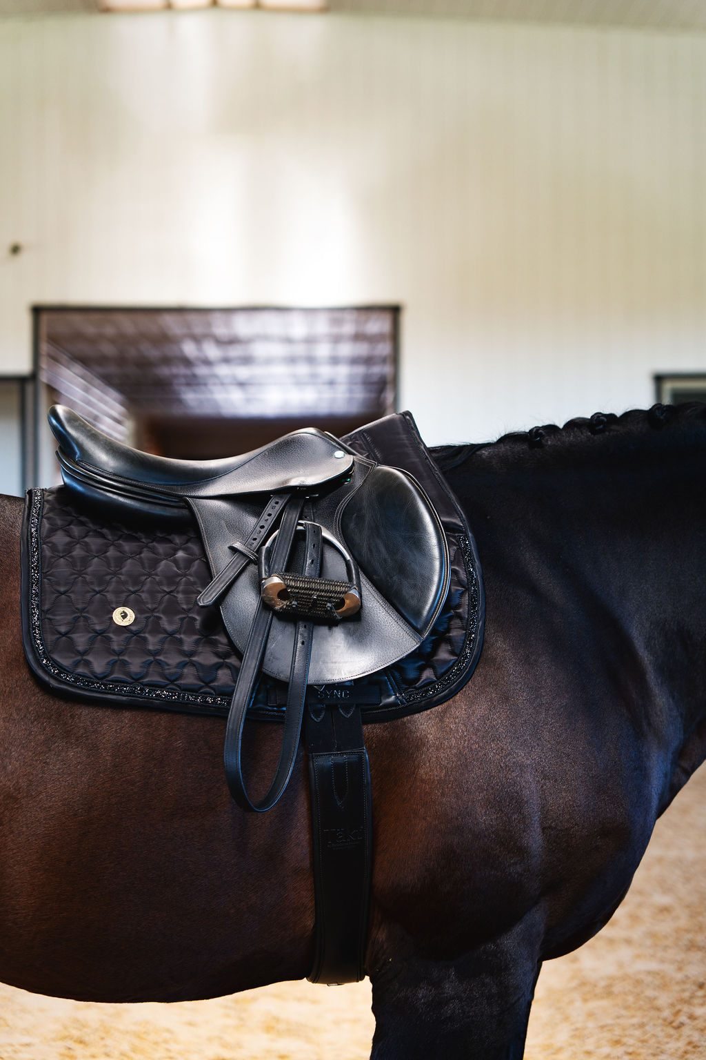 Dragon Luxe Saddle Pad (Jumping/Black)