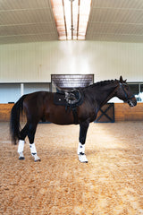 Dragon Luxe Saddle Pad (Jumping/Black)