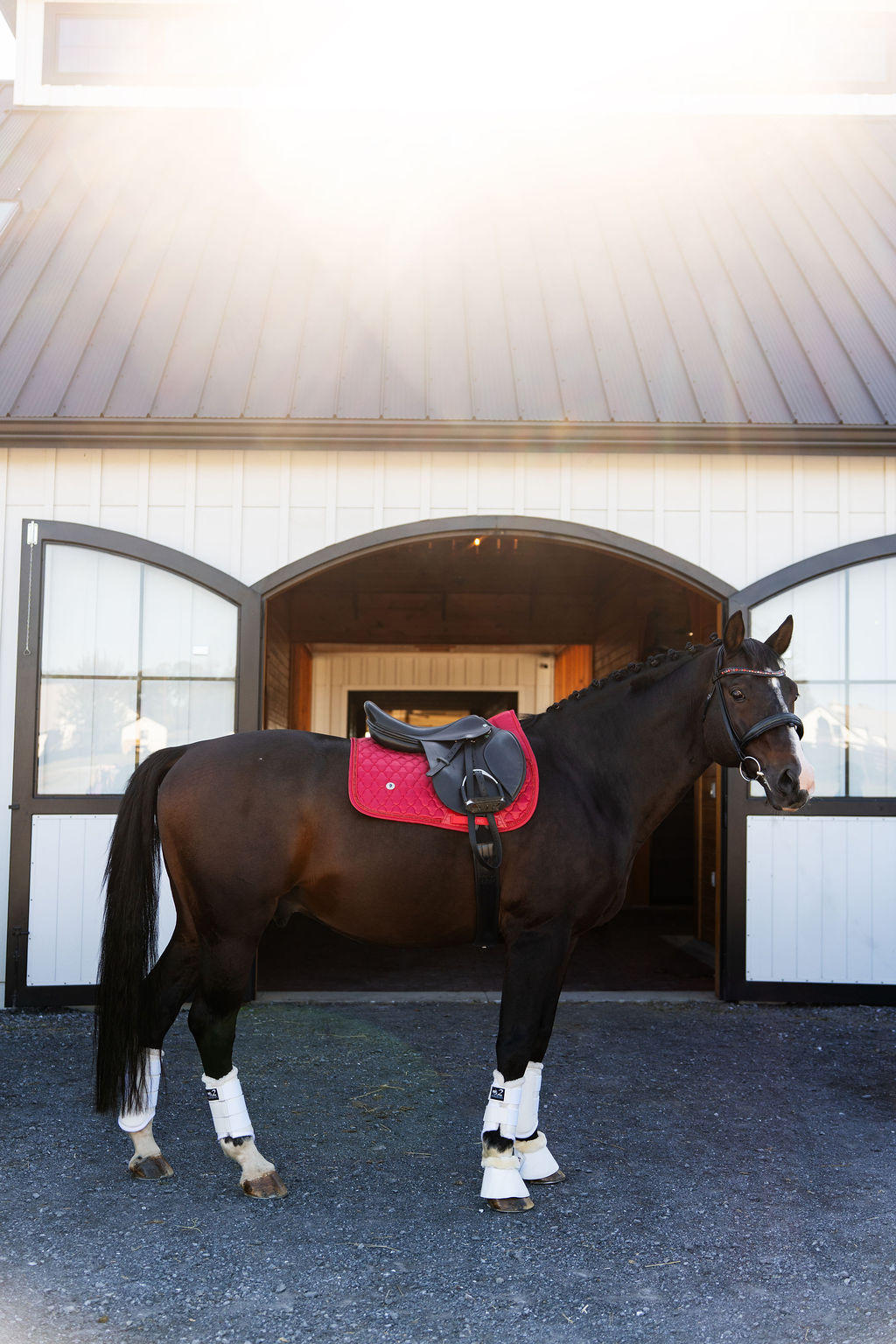 Dragon Luxe Saddle Pad (Dressage/red)