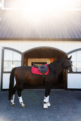Dragon Luxe Saddle Pad (Jumping/Red)