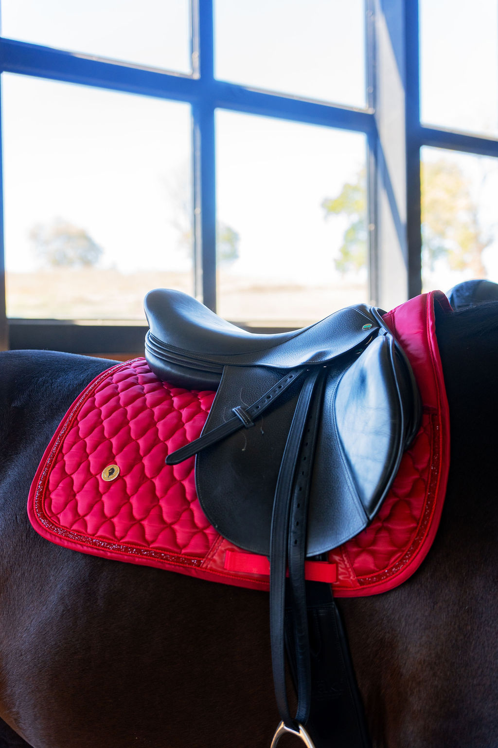 Rhinegold Elite Diamante Trim Saddle Pad - Red - Horse And Rider Supplies