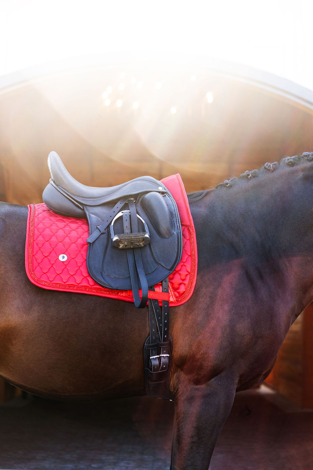 Dragon Luxe Saddle Pad (Dressage/red)
