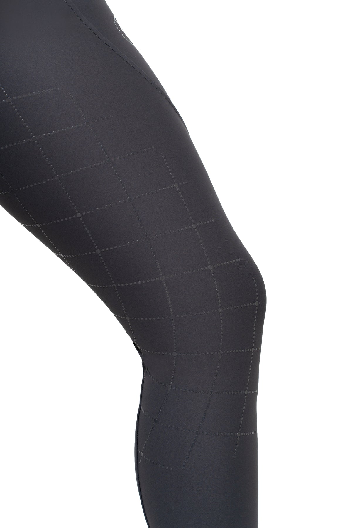 Dragon Rhinestone Full Seat Breeches (Charcoal Grey)